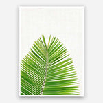Print - Palm Leaf Mon Manabu