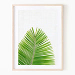 Print - Palm Leaf Mon Manabu