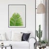 Print - Palm Leaf Mon Manabu