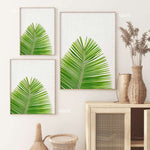 Print - Palm Leaf Mon Manabu