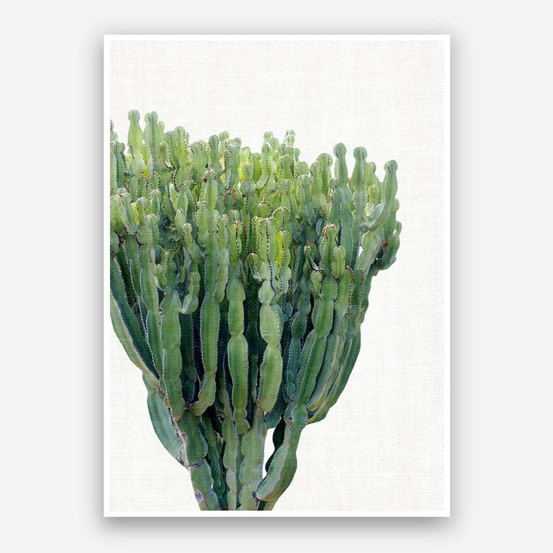 Set of 3 Prints - La Santa Cactus Mon Manabu