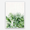 Print - Tropical Mon Manabu