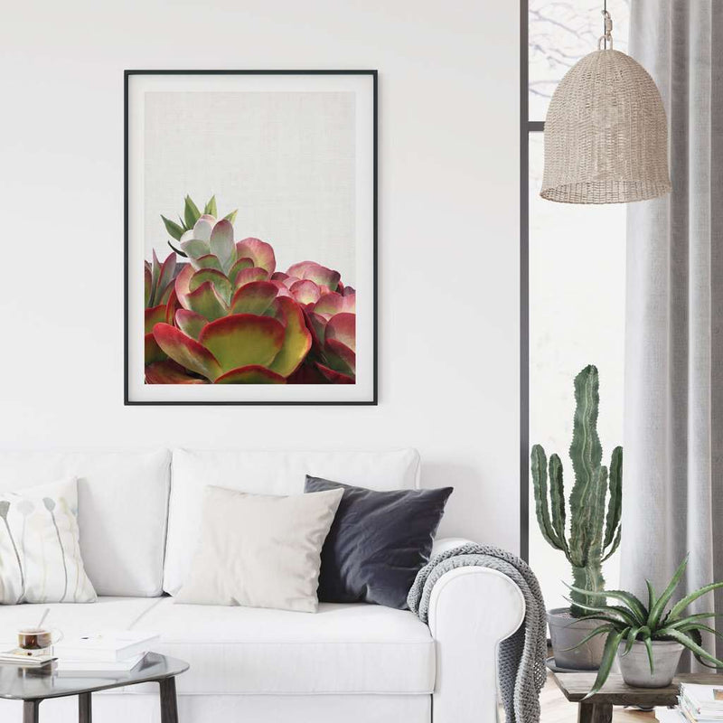 Print - Succulent Mon Manabu