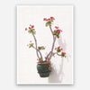 Print - Red Flower Mon Manabu